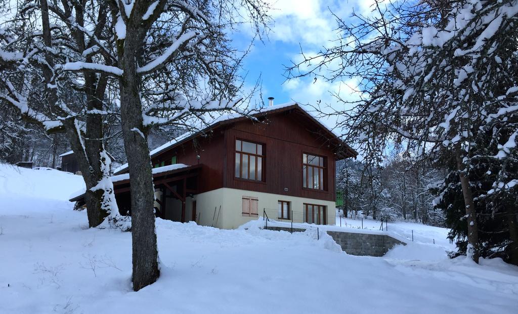 Le Green Chalet Villard-sur-Boege Exteriör bild