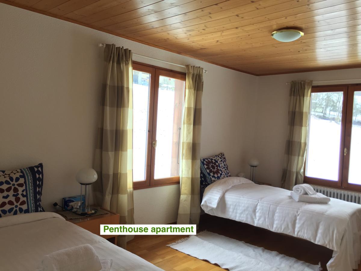 Le Green Chalet Villard-sur-Boege Exteriör bild