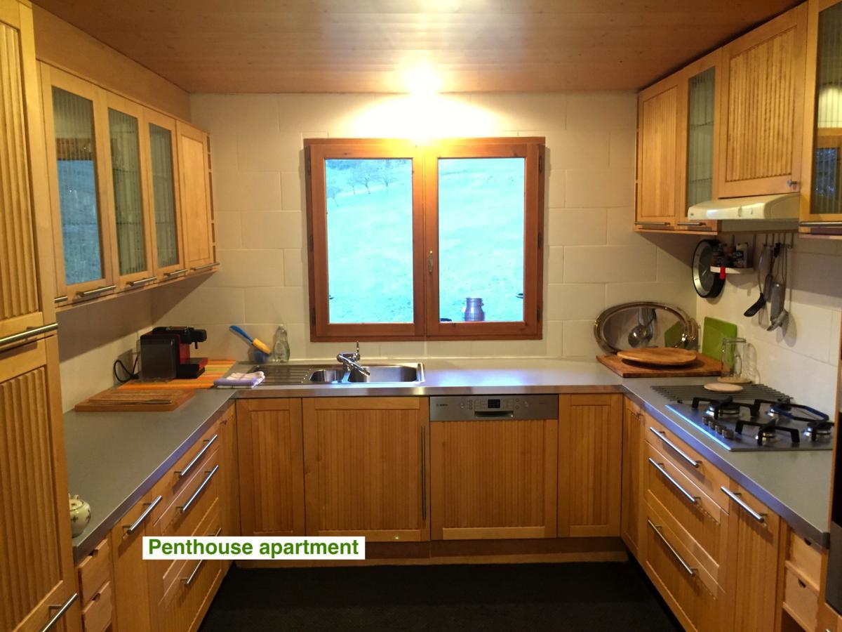 Le Green Chalet Villard-sur-Boege Exteriör bild