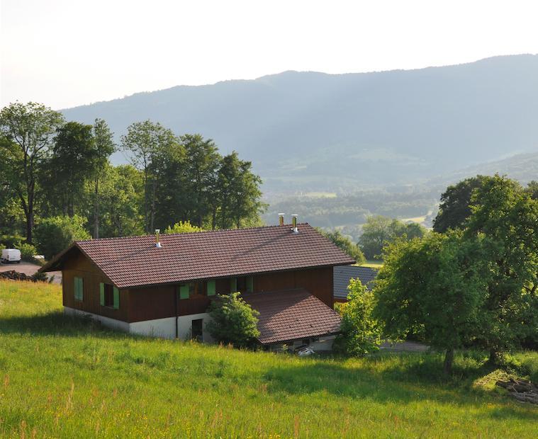 Le Green Chalet Villard-sur-Boege Exteriör bild