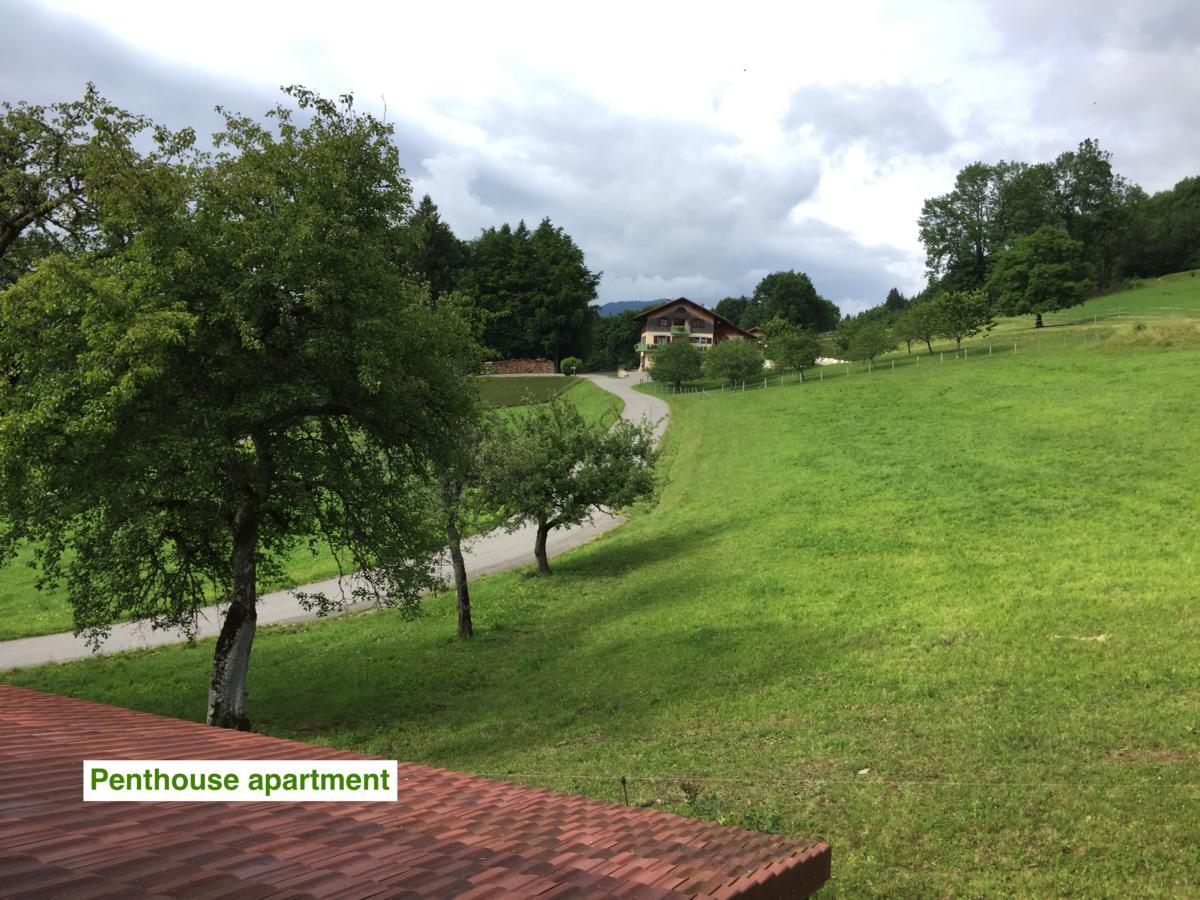 Le Green Chalet Villard-sur-Boege Exteriör bild